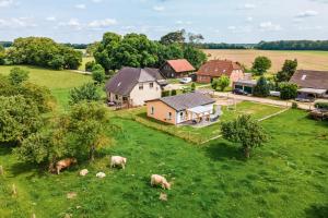 an aerial view of a farm with cows in a field at Ferienhaus Alt-Gaarz in Lärz