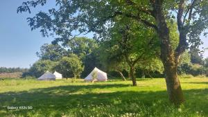 a group of tents in a field with trees at tente india in Le Pener +9 photos