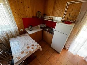 a small kitchen with a white refrigerator and a sink at Будиночок Перший rio de pulmo in Pulʼmo