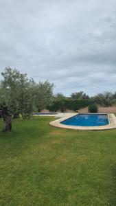 a swimming pool in the middle of a grass field at Mediterraneo in Peniscola