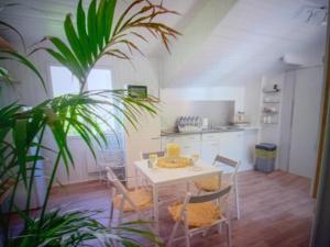 a table and chairs in a kitchen with a plant at Chic Villa Webb Cannes in Cannes