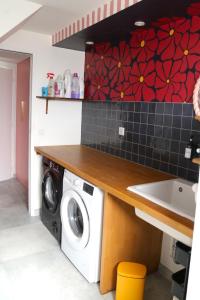 a kitchen with a washing machine and a sink at Stripe Studio in Bonne-sur-Ménoge