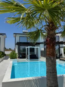 a palm tree in front of a house with a swimming pool at Villa Roza 2 in Kallithea Halkidikis