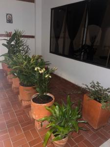 a row of potted plants sitting on a brick floor at Casa Vacacional San Gil Santander in San Gil