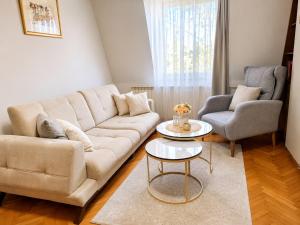 a living room with a couch and a table at Apartment 88 SELF check-in, FREE parking in Skopje