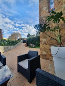a patio with a chair and a potted plant at Villa Perdomo in Las Palmas de Gran Canaria