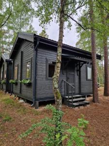 a black cabin in the woods with trees at Vanagu priedes in Kalngale