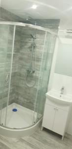a bathroom with a shower and a toilet and a sink at Bobrowe Zacisze in Wleń