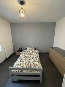 a bedroom with a bed and a light fixture at Appartement à Vouglans in Lect +5 photos