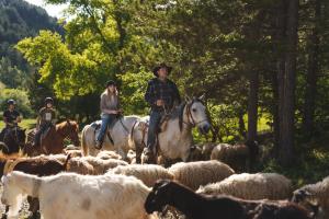 a group of people riding horses and sheep at Farma Sotira Agroturizem in Leskovik