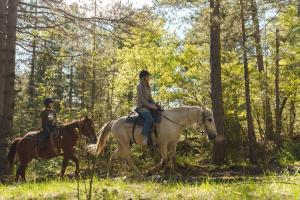 two people riding horses in the woods at Farma Sotira Agroturizem in Leskovik