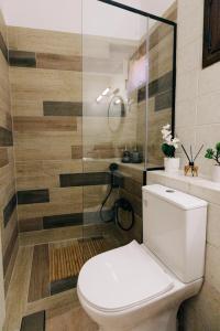 a bathroom with a toilet and a shower at Rustic Kampos House Retreat in Chios