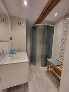 a bathroom with a shower and a sink at Gajowe Zacisze in Mirsk +111 photos