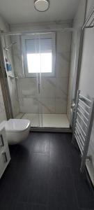 a bathroom with a shower and a toilet and a window at Messe Apartment BIN in Hildesheim
