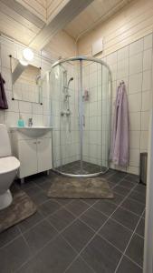 a bathroom with a shower and a sink and a toilet at Venezia in Haapsalu +8 photos
