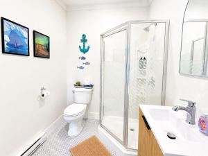 a bathroom with a shower and a toilet and a sink at Wild Cove Nook in Twillingate