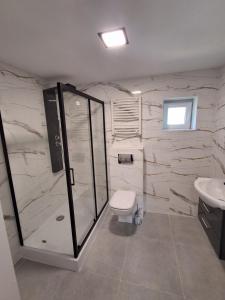 a bathroom with a shower and a toilet and a sink at Mazurska przystań 2 in Gąsiorowo Olsztyneckie
