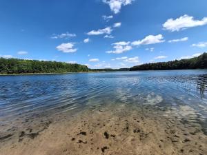 a view of a lake with trees in the background at Mazurska przystań 2 in Gąsiorowo Olsztyneckie