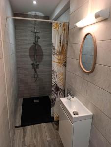 a bathroom with a shower and a toilet and a sink at La grande découverte 2 in Cilaos