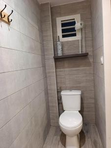 a bathroom with a white toilet in a room at La grande découverte 2 in Cilaos +5 photos