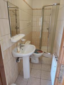 a bathroom with a sink and a toilet and a mirror at Lipowy Dworek Pensjonat in Staroguby