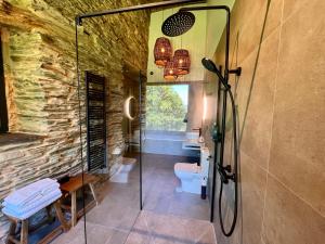 a bathroom with a glass shower and a toilet at CABAÑA SUITE Deluxe in A Pontenova