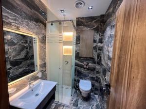 ein Badezimmer mit Waschbecken, Dusche und Toilette in der Unterkunft Aman Villa in New cairo