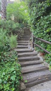 a set of stone stairs in a garden at CANNES La Mirandole in Golfe-Juan