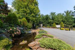 a road in a garden with a river at Cranberry View Lodge in Newland +43 photos