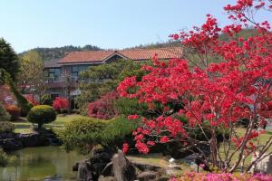 a garden with red flowers in front of a house at Boseong Carmel Royal Pension in Boseong