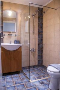 a bathroom with a shower and a sink and a toilet at Feneri- cozy Apartment 20' from Elafonisi beach in Elafonisi