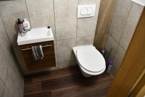 a small bathroom with a toilet and a sink at Počitniška hiša REMA in Lendava