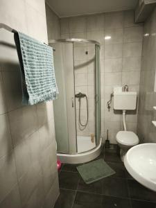 a bathroom with a shower and a toilet and a sink at Montenegro Summer time in Igalo