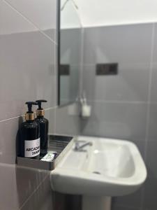 a bathroom with a sink and a mirror and a white sink at Arcadiaa Villa in Polonnaruwa