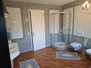 a bathroom with a shower and a toilet and a sink at Holiday Apartment Henry - Auszeit unter alten Balken in Arnstadt +29 photos
