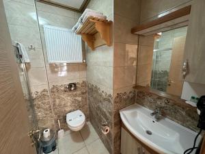 a small bathroom with a toilet and a sink at Mersu Ala Konak Otel maşukiye sapanca in Kocaeli +156 photos