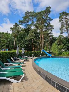 a swimming pool with lawn chairs and umbrellas at Bungalow type Korhoen 4p in Otterlo