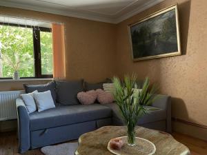 a living room with a blue couch and a table at Viesu nams Purenes in Vecmuiža