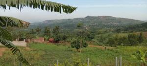 a view of a field with a mountain in the background at Mirembe house in Mukono