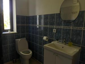 a bathroom with a toilet and a sink and a mirror at Viesu nams Purenes in Vecmuiža +8 photos