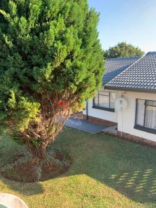 a tree in the yard of a house at The Residence at 1907 in Thulamahashi