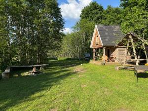 a log cabin with a picnic table in the yard at Salatse metsaonn in Salatse