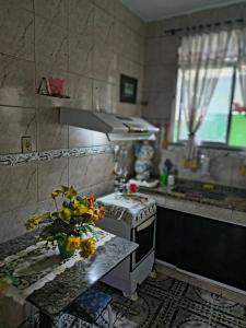 a kitchen with a counter with a vase of flowers on it at Sobral hostel in Magalhães Bastos