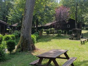 a wooden picnic table sitting next to a tree at Camping le Relais du Léman in Messery