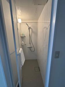 a bathroom with a walk in shower and a toilet at Lucky民泊 in Osaka +39 photos