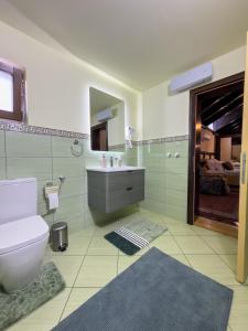 ein Badezimmer mit Toilette, Waschbecken und Dusche in der Unterkunft Etno Sobe in Smederevo + 56 Fotos