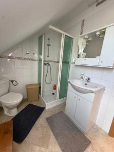 a bathroom with a toilet and a sink and a shower at Ubytovanie pri lese a vode in Hamuliakovo