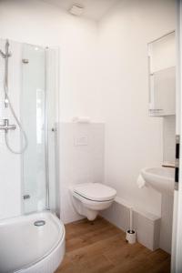 a white bathroom with a toilet and a shower at Gut Boltenhof in Fürstenberg