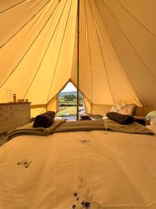a large tent with two cats laying on the bed at Hedgerow hideaway in Llanvetherine