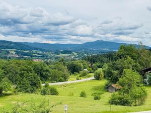 a green hill with a road in the distance at Ferienwohnung Bayerischer Wald in Zwiesel